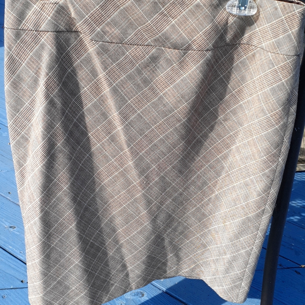 The Limited skirt